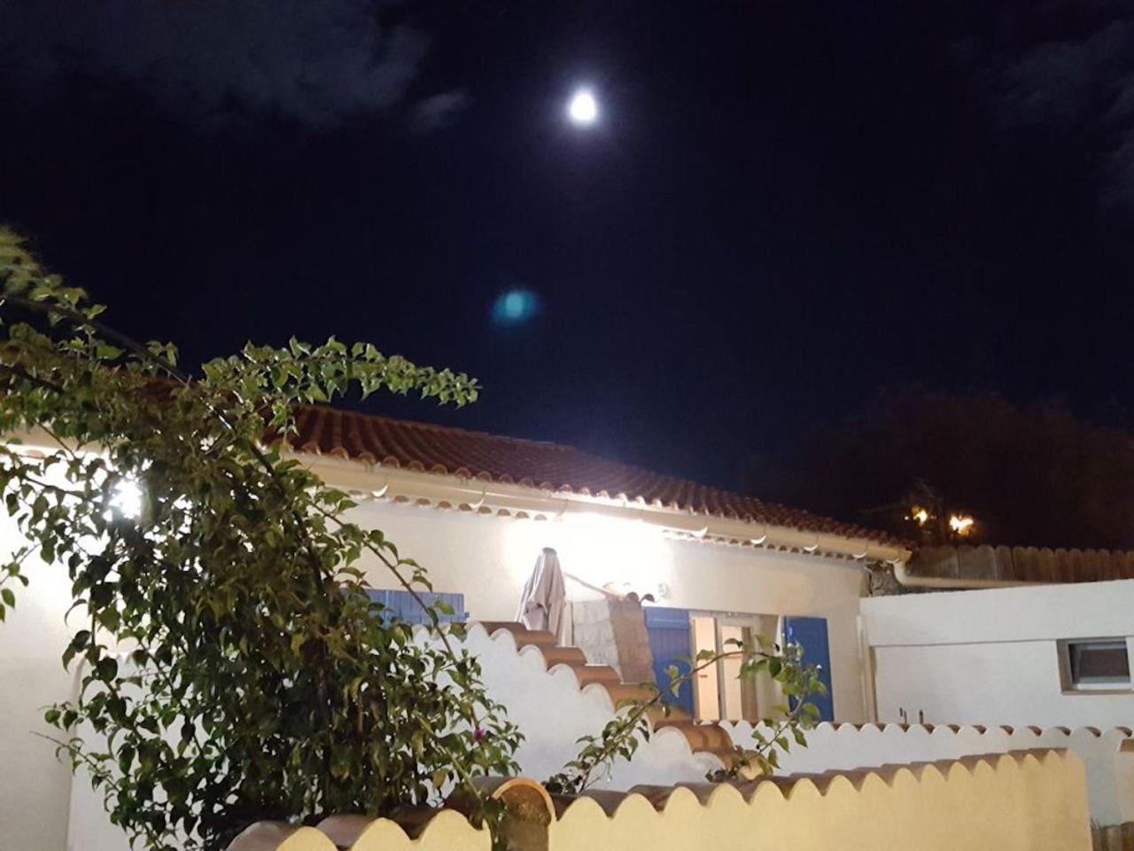 Au Grand Sud